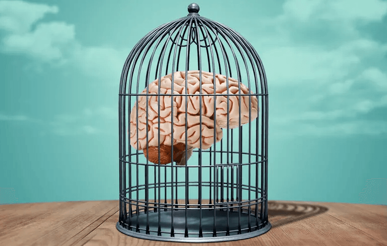 An illustration of a human brain inside a birdcage, representing attention captured by digital platforms.